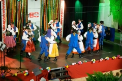 DSC7818