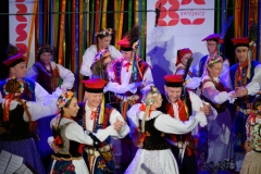 DSC7956