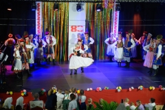 DSC8073