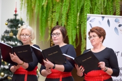 611324170_1189248840054714_2818854633623650462_n