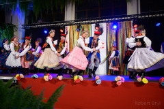 DSN0260