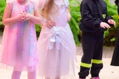 DSE4234